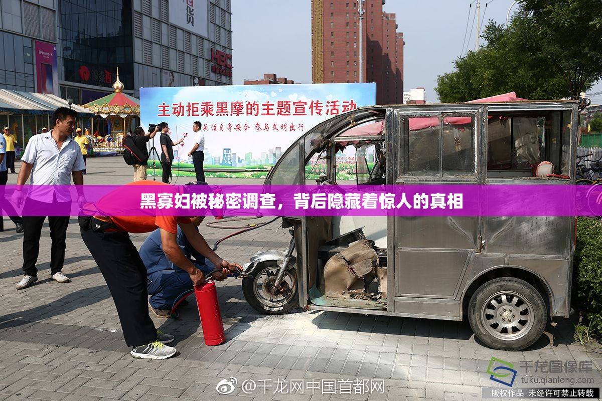 黑寡妇被秘密调查，背后隐藏着惊人的真相