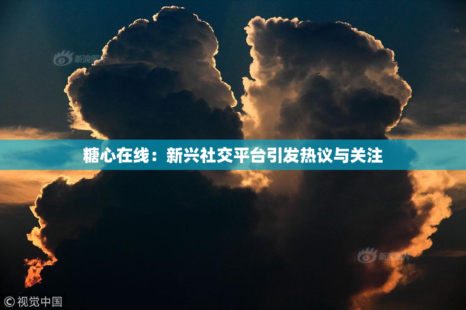 糖心在线：新兴社交平台引发热议与关注