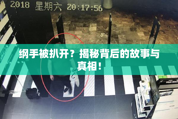 纲手被扒开？揭秘背后的故事与真相！