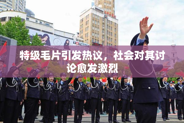 特级毛片引发热议，社会对其讨论愈发激烈