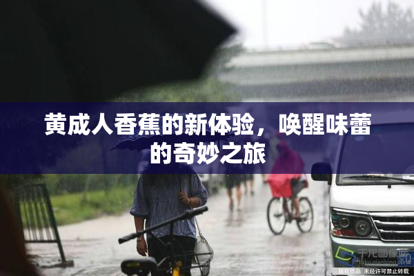 黄成人香蕉的新体验，唤醒味蕾的奇妙之旅