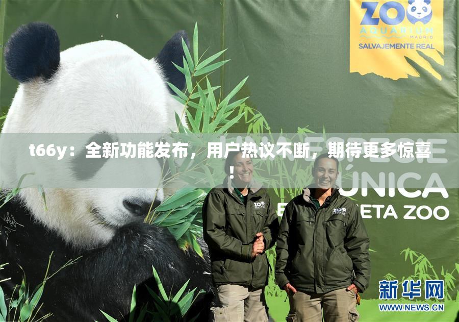 t66y：全新功能发布，用户热议不断，期待更多惊喜！
