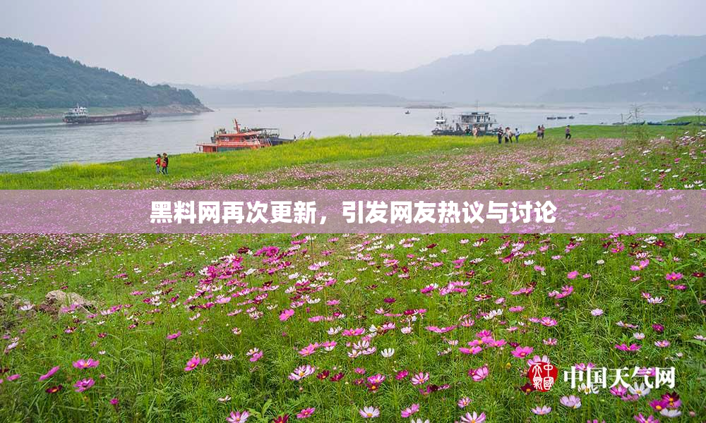 黑料网再次更新，引发网友热议与讨论