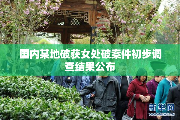国内某地破获女处破案件初步调查结果公布