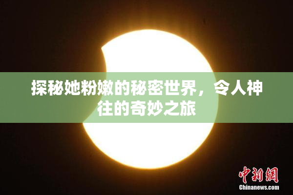 探秘她粉嫩的秘密世界，令人神往的奇妙之旅