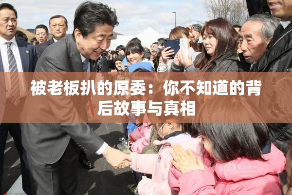 被老板扒的原委：你不知道的背后故事与真相