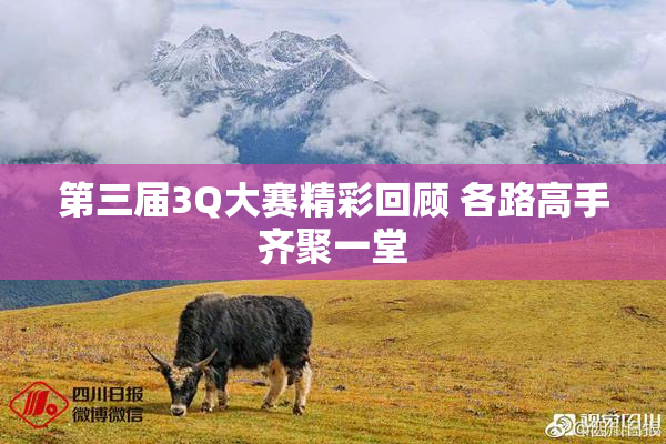 第三届3Q大赛精彩回顾 各路高手齐聚一堂