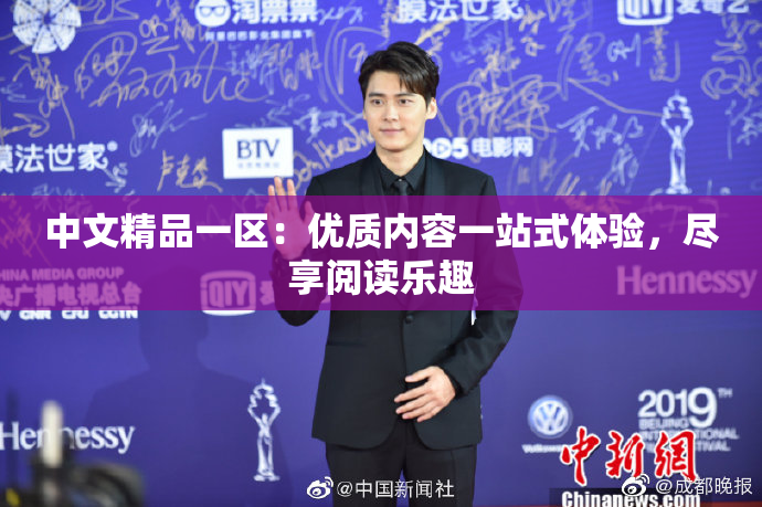 中文精品一区：优质内容一站式体验，尽享阅读乐趣