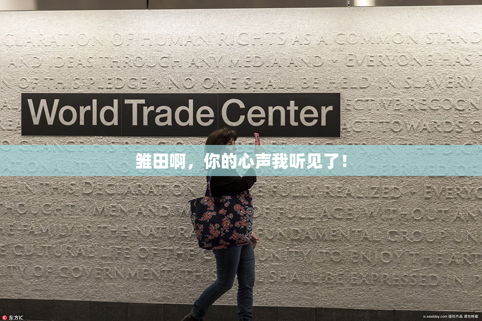 雏田啊，你的心声我听见了！