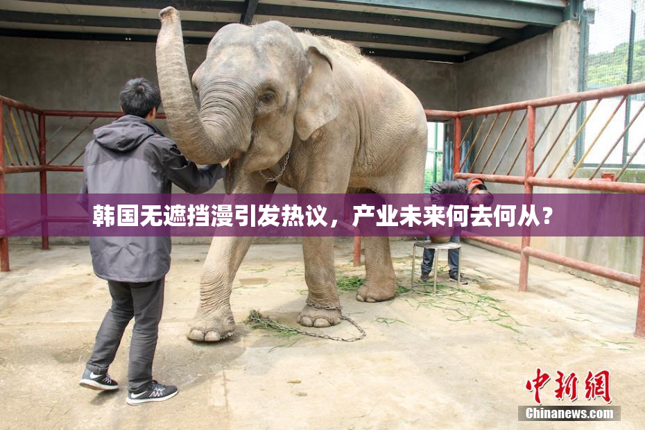 韩国无遮挡漫引发热议，产业未来何去何从？