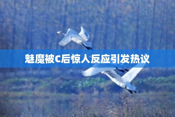 魅魔被C后惊人反应引发热议