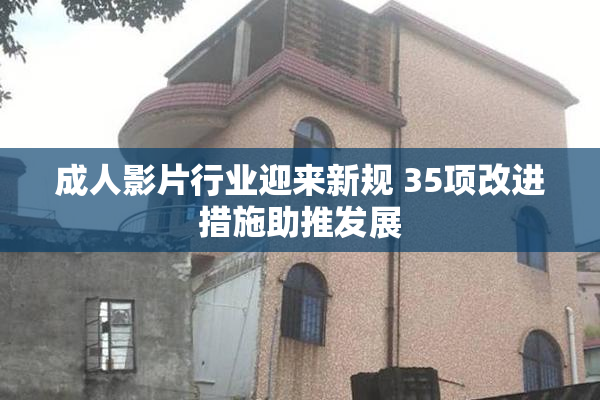 成人影片行业迎来新规 35项改进措施助推发展