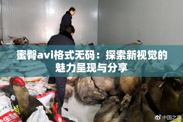蜜臀avi格式无码：探索新视觉的魅力呈现与分享