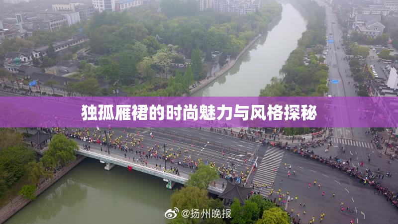 独孤雁裙的时尚魅力与风格探秘