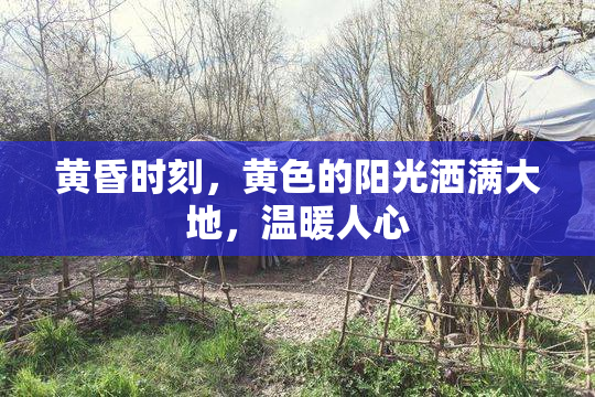 黄昏时刻，黄色的阳光洒满大地，温暖人心