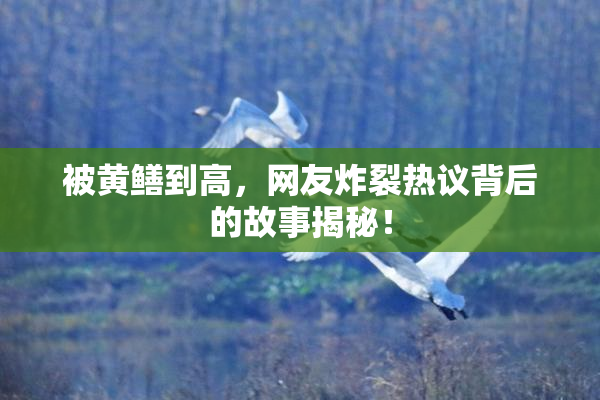 被黄鳝到高，网友炸裂热议背后的故事揭秘！