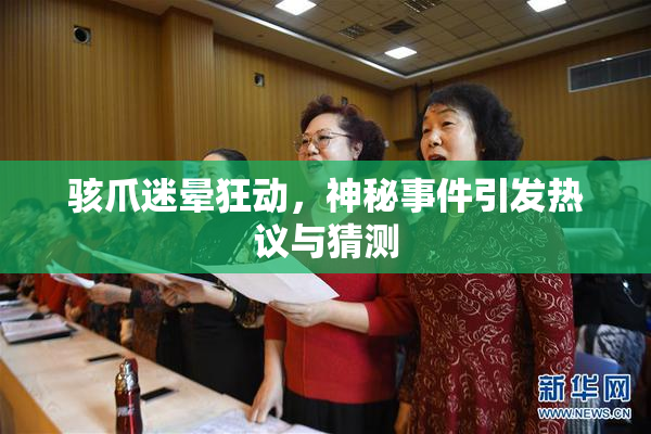 骇爪迷晕狂动，神秘事件引发热议与猜测
