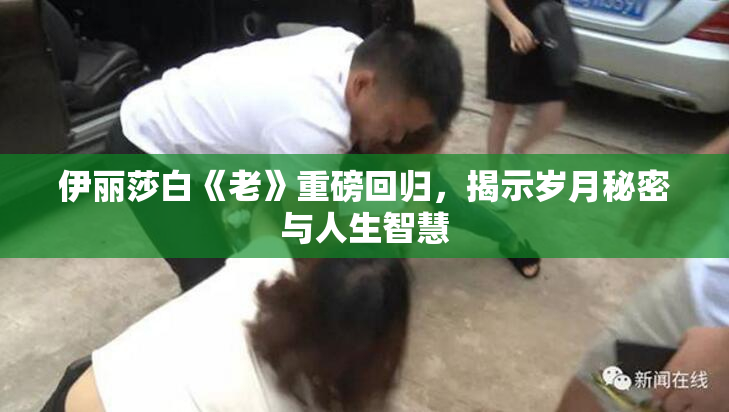 伊丽莎白《老》重磅回归，揭示岁月秘密与人生智慧