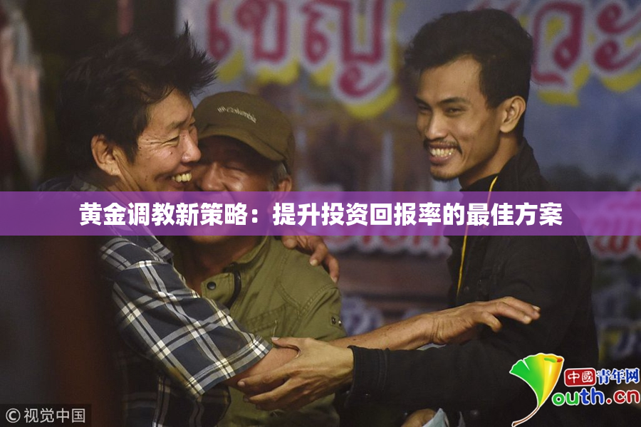 黄金调教新策略：提升投资回报率的最佳方案