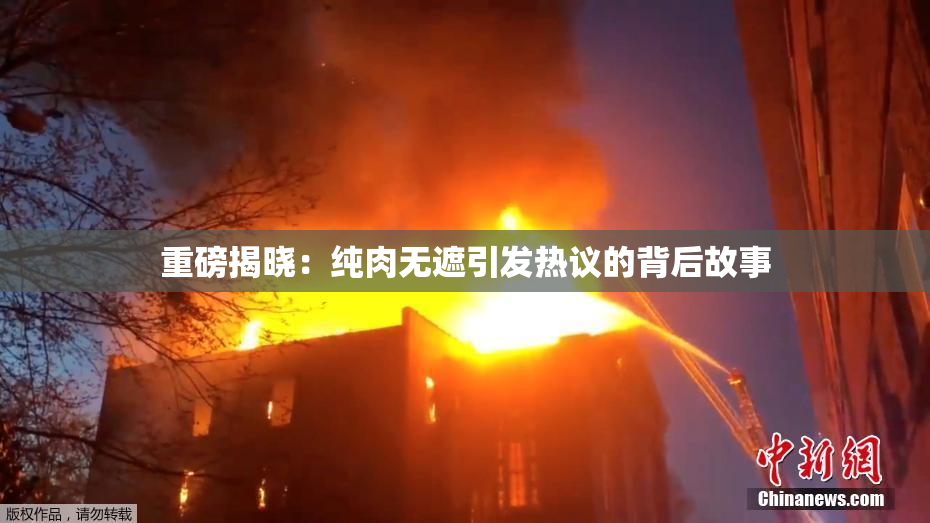 重磅揭晓：纯肉无遮引发热议的背后故事