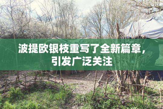 波提欧银枝重写了全新篇章，引发广泛关注