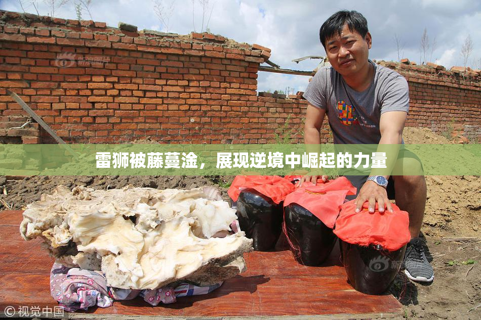雷狮被藤蔓淦，展现逆境中崛起的力量