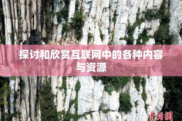 探讨和欣赏互联网中的各种内容与资源