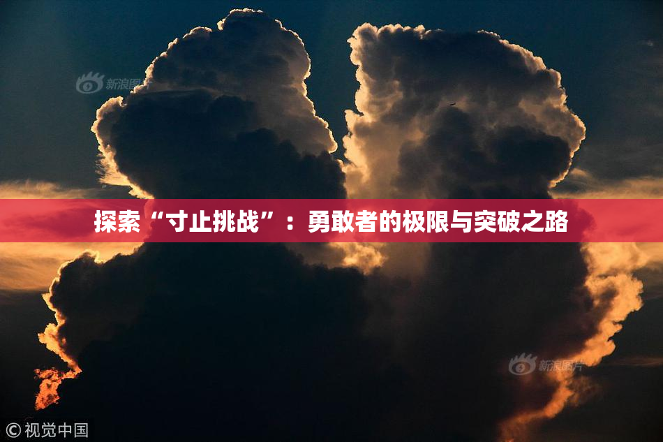 探索“寸止挑战”：勇敢者的极限与突破之路