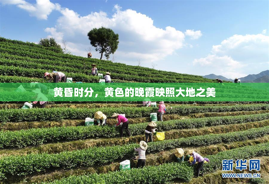 黄昏时分，黄色的晚霞映照大地之美