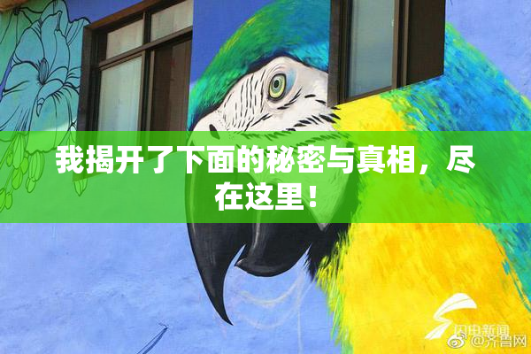 我揭开了下面的秘密与真相，尽在这里！