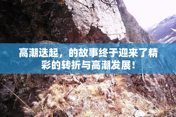 高潮迭起，的故事终于迎来了精彩的转折与高潮发展！