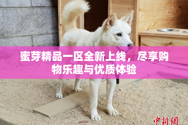 蜜芽精品一区全新上线，尽享购物乐趣与优质体验