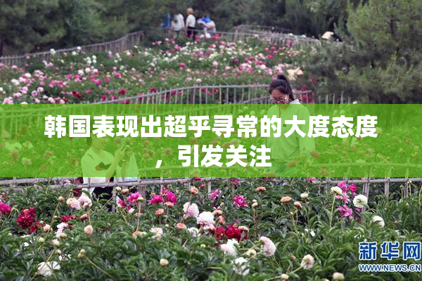 韩国表现出超乎寻常的大度态度，引发关注