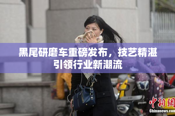黑尾研磨车重磅发布，技艺精湛引领行业新潮流
