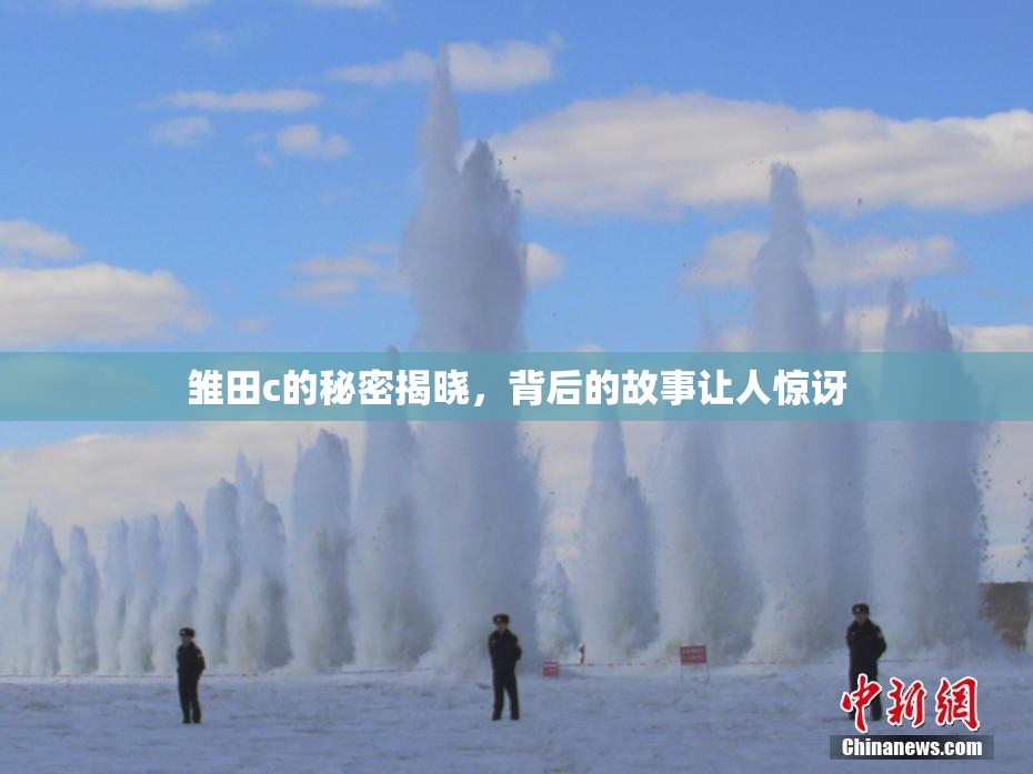 雏田c的秘密揭晓，背后的故事让人惊讶