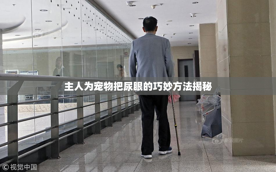 主人为宠物把尿眼的巧妙方法揭秘