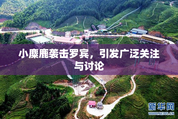 小麋鹿袭击罗宾，引发广泛关注与讨论