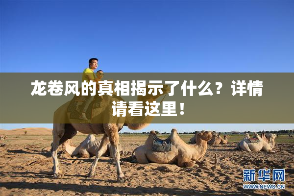 龙卷风的真相揭示了什么？详情请看这里！