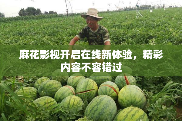 麻花影视开启在线新体验，精彩内容不容错过