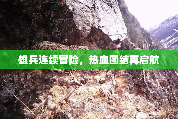 雄兵连续冒险，热血团结再启航