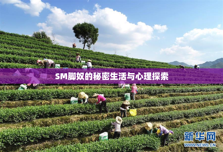 SM脚奴的秘密生活与心理探索