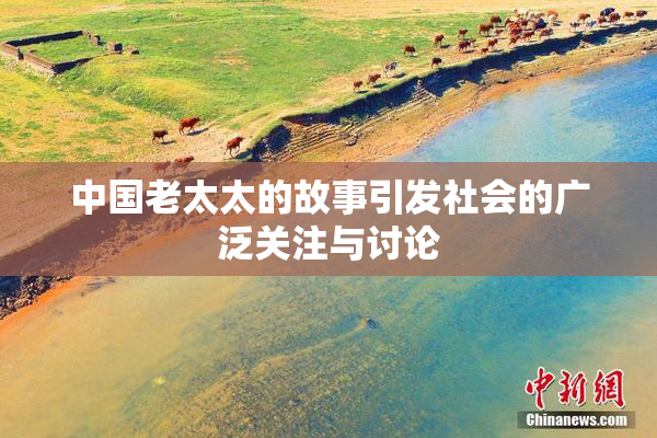 中国老太太的故事引发社会的广泛关注与讨论