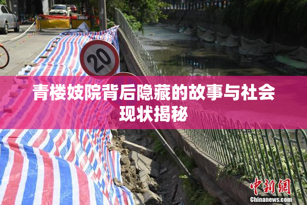 青楼妓院背后隐藏的故事与社会现状揭秘