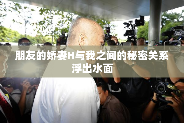 朋友的娇妻H与我之间的秘密关系浮出水面