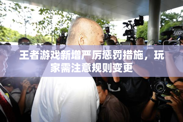 王者游戏新增严厉惩罚措施，玩家需注意规则变更