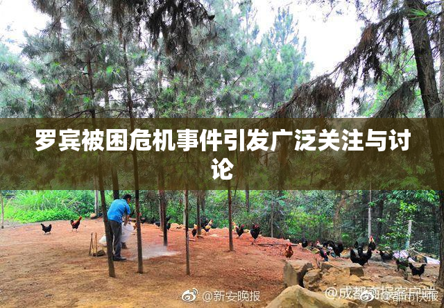 罗宾被困危机事件引发广泛关注与讨论