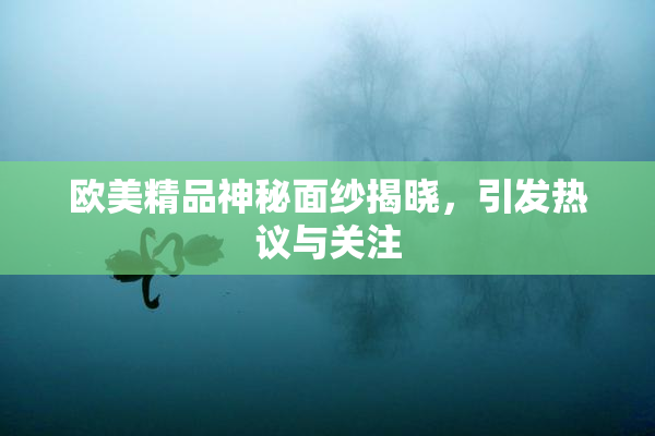 欧美精品神秘面纱揭晓，引发热议与关注