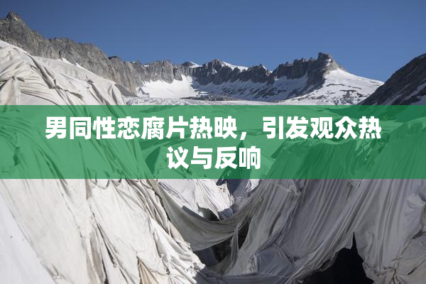 男同性恋腐片热映，引发观众热议与反响