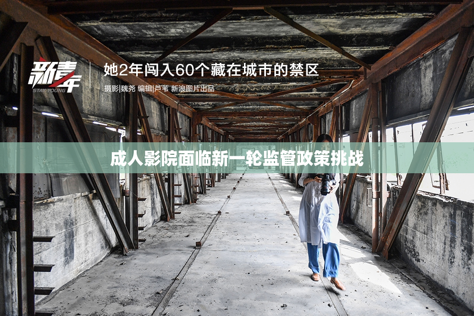 成人影院面临新一轮监管政策挑战