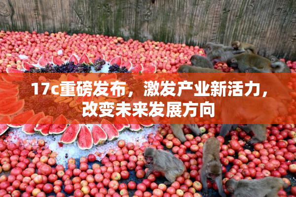 17c重磅发布，激发产业新活力，改变未来发展方向